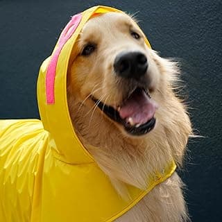 Capa de Chuva Pet para Cachorro - Amarela - Nylon Emborrachado - Impermeável - com Detalhes Rosa Neon (G3) EGG